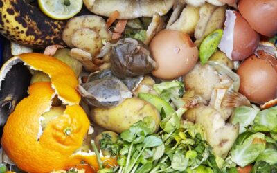Are you composting?   Here is how you can!
